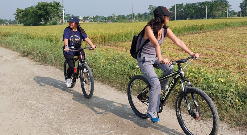 Cycling around Chitwan - rice paddy