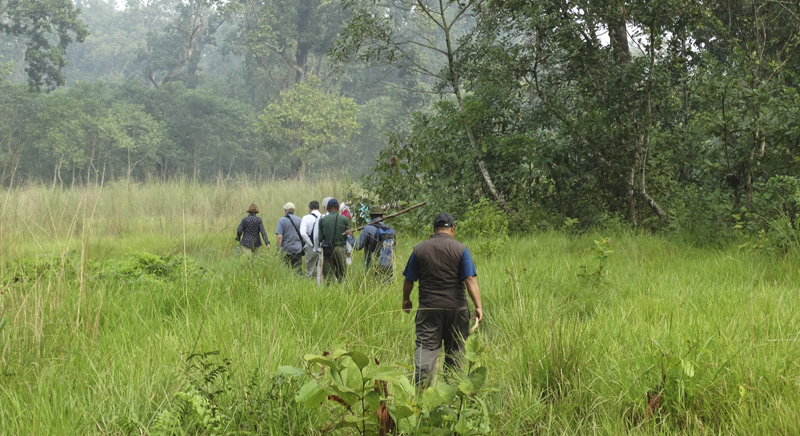 Chitwan Jungle Walk
