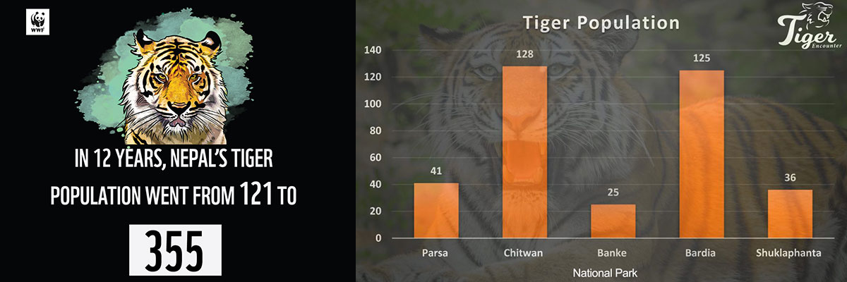 Tiger population data