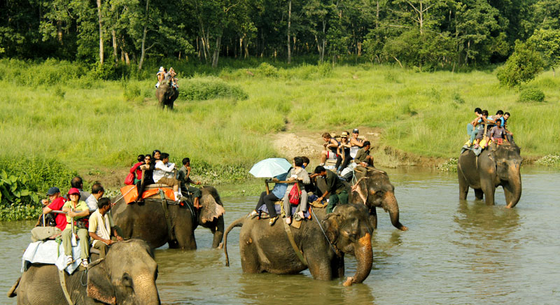 Chitwan tours, 2 nights 3 days package tour, chitwan trip, Elephant