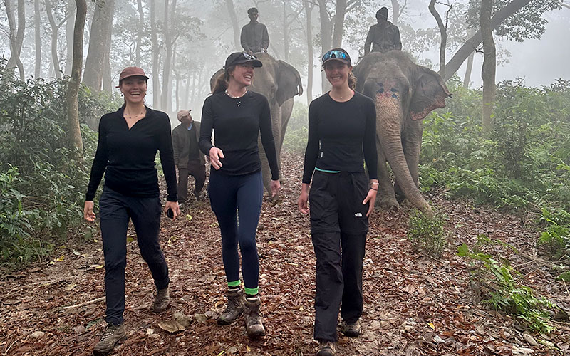 Walking with Elephant