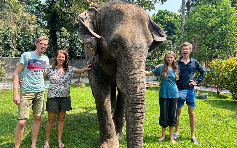 playing with Elephant