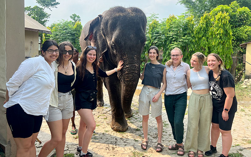 taking photographs with Elephant