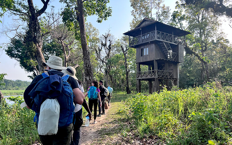 Chitwan Jungle Tower room