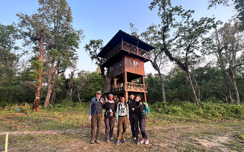 Jungle Tower room